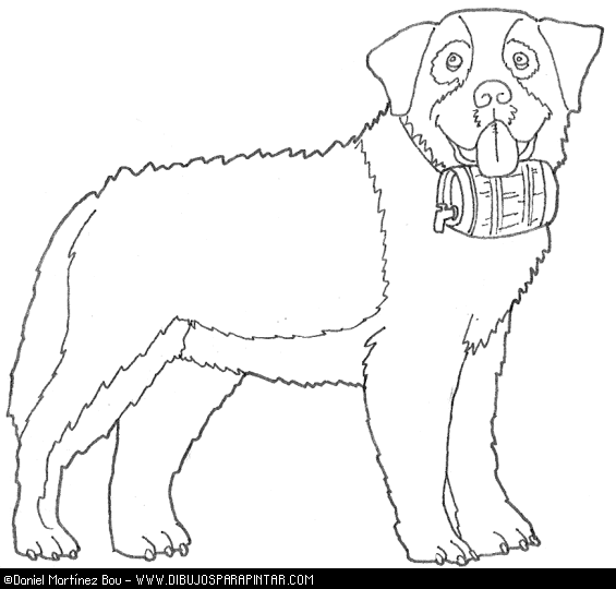 565x540 Exelent Saint Bernard Coloring Pages Motif