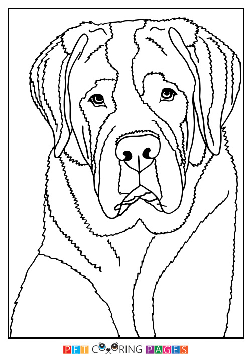 500x711 Saint Bernard Coloring Page Benji
