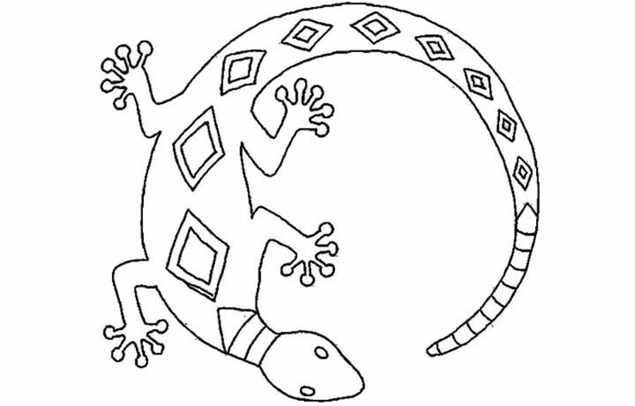900x575 Coloring Pages Salamander, Printable For Kids Amp Adults, Free