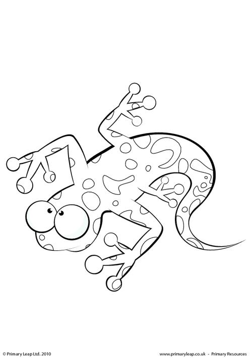 500x708 Salamander