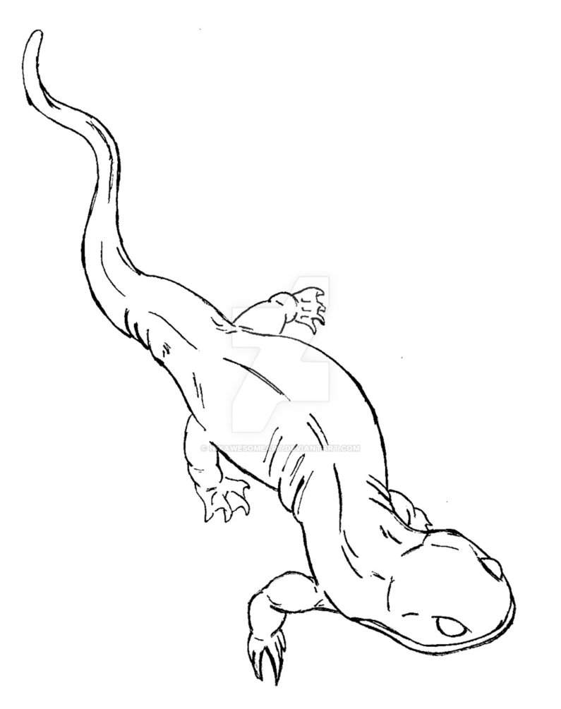 795x1005 Salamander Coloring Page By Nixawesomeart