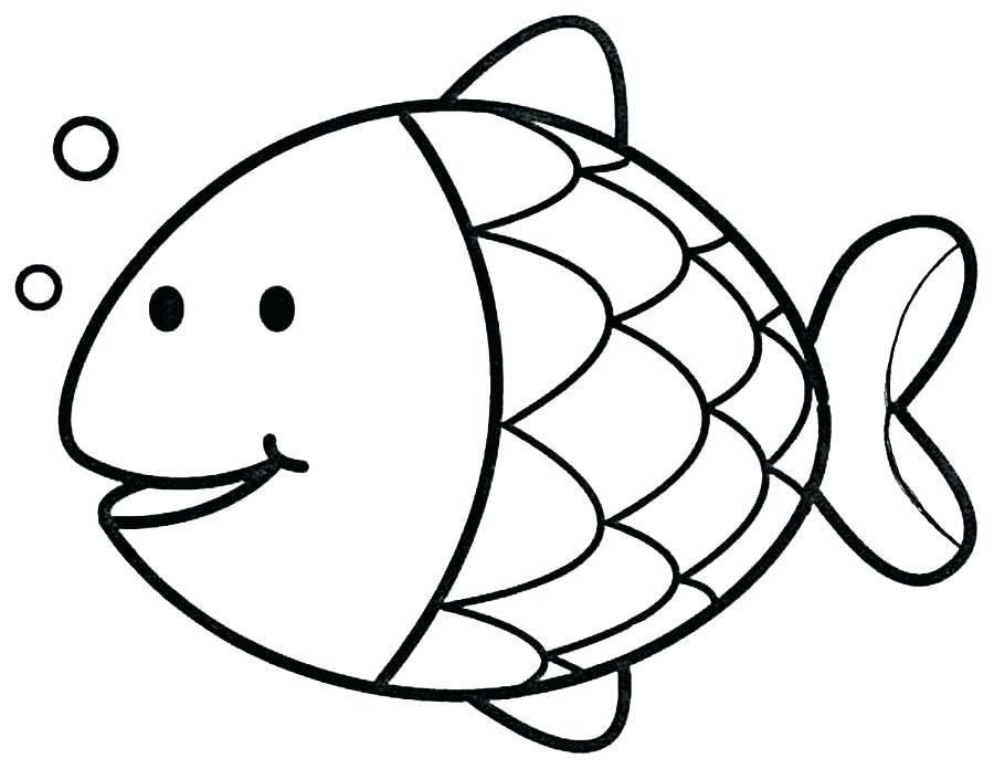 900x696 Salmon Coloring Page Salmon Salmon Life Cycle Coloring Pages