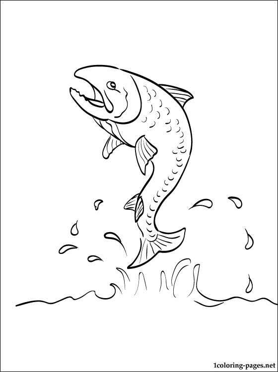 560x750 Salmon Coloring Page Coloring Pages