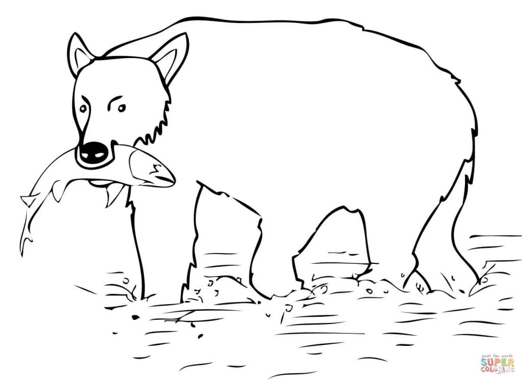 1024x748 Brown Bear Catch The Salmon New Coloring Page