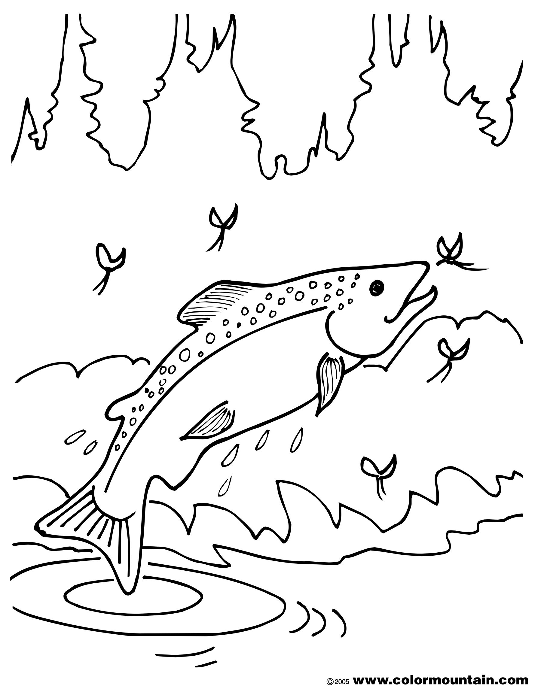1800x2294 Chinook Salmon Coloring Page