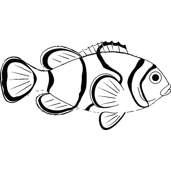 600x612 Clown Fish Coloring Page Printable Clown Fish Coloring Pages
