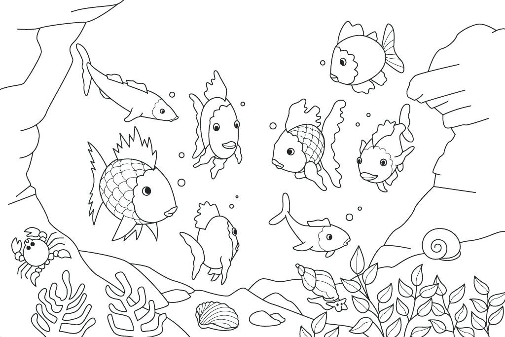 1024x683 Saltwater Fish Coloring Pages Inspirational Good Coloring Pages
