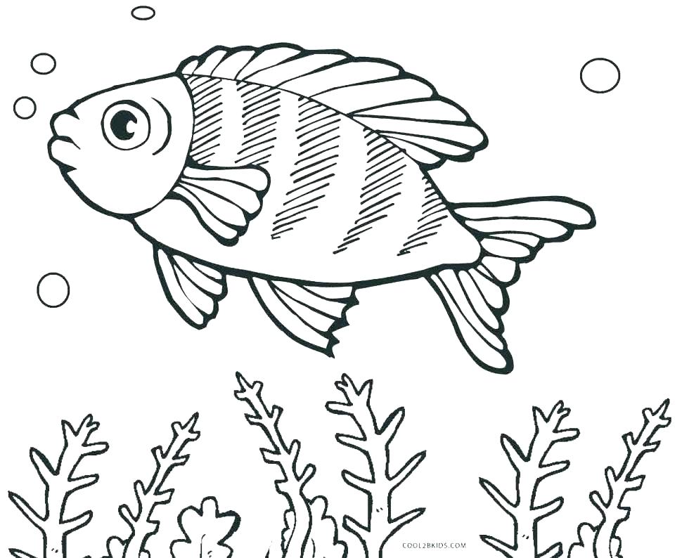 970x794 Saltwater Fish Coloring Pages Saltwater Fish Coloring Pages