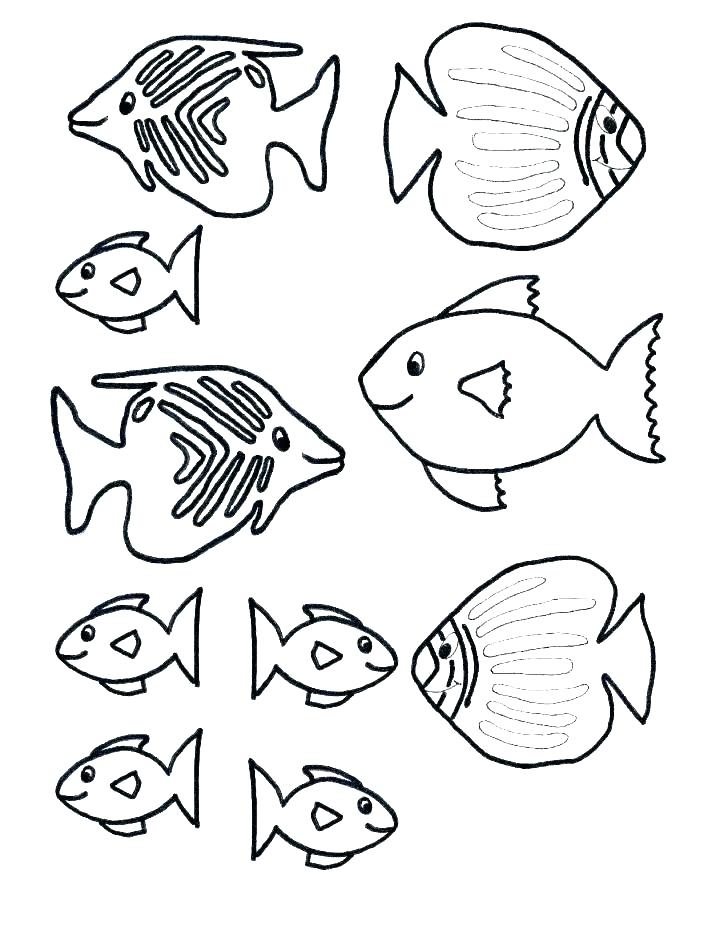 728x942 Saltwater Fish Coloring Pages Saltwater Fish Coloring Pages Free