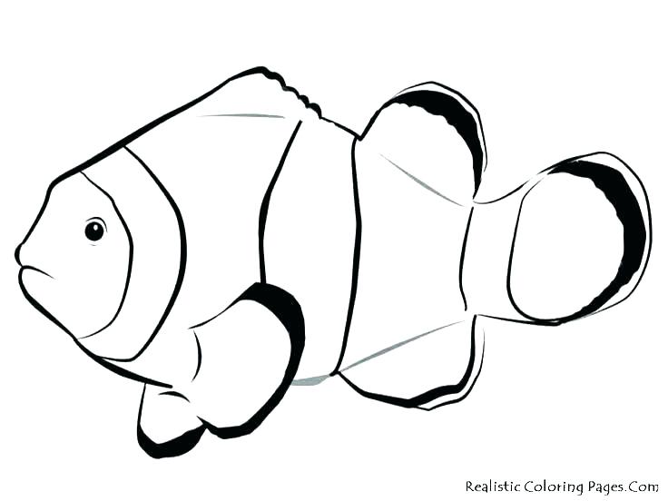 736x552 Coloring