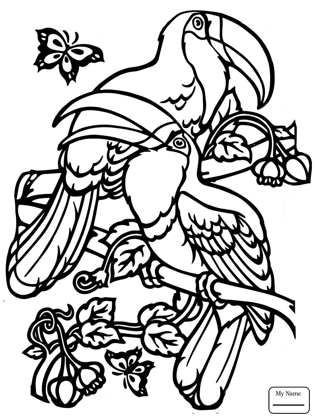 1224x1632 Coloring For Kids Toucan Page Printable Sam Pages To Print Toco