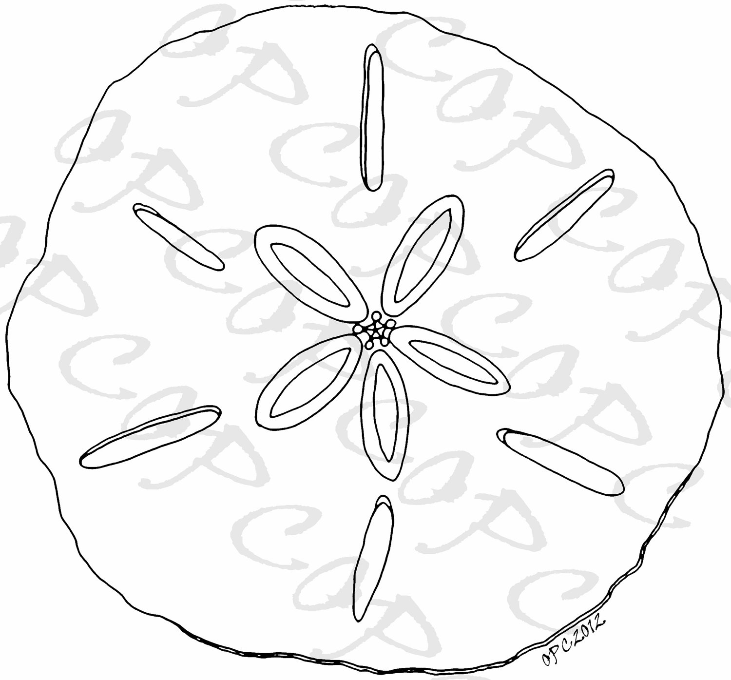 1500x1395 Best Photos Of Coloring Page Seashell Sand Dollar