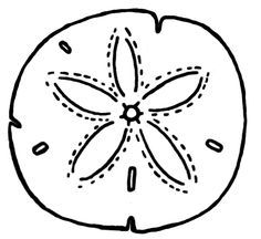 236x216 Sand Dollar Coloring Page Watercolor Template Mermaid Birthday