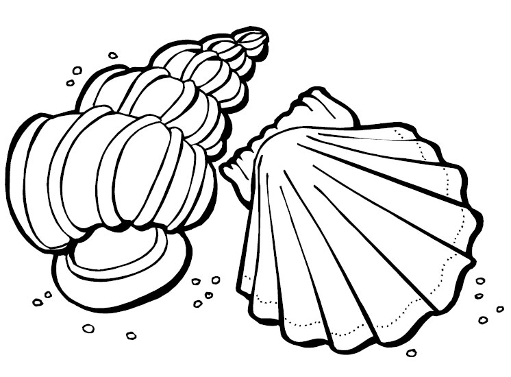 746x550 Best Photos Of Sea Shells Coloring Page Printable