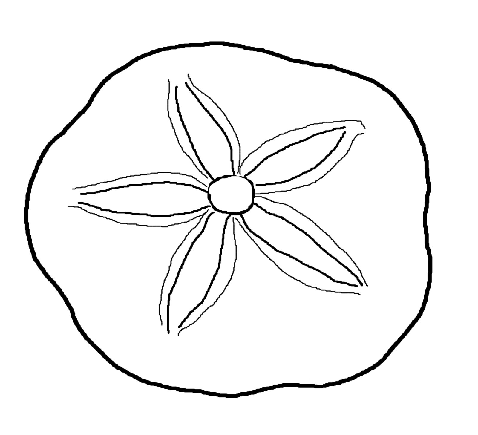 1600x1456 Sea Life Clipart Sand Dollar 12 Sand Dollar Clip Art Free