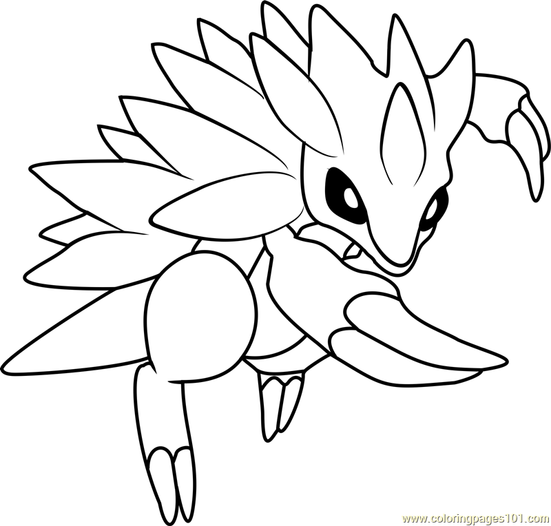 800x764 Coloring Pages