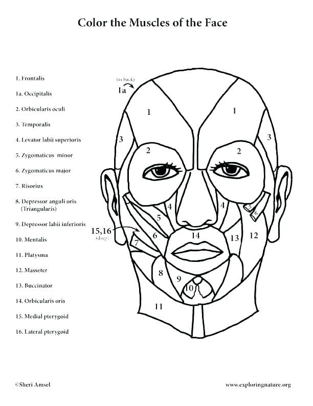 612x792 Santa Face Coloring Page Face Coloring Page Face Coloring Pages