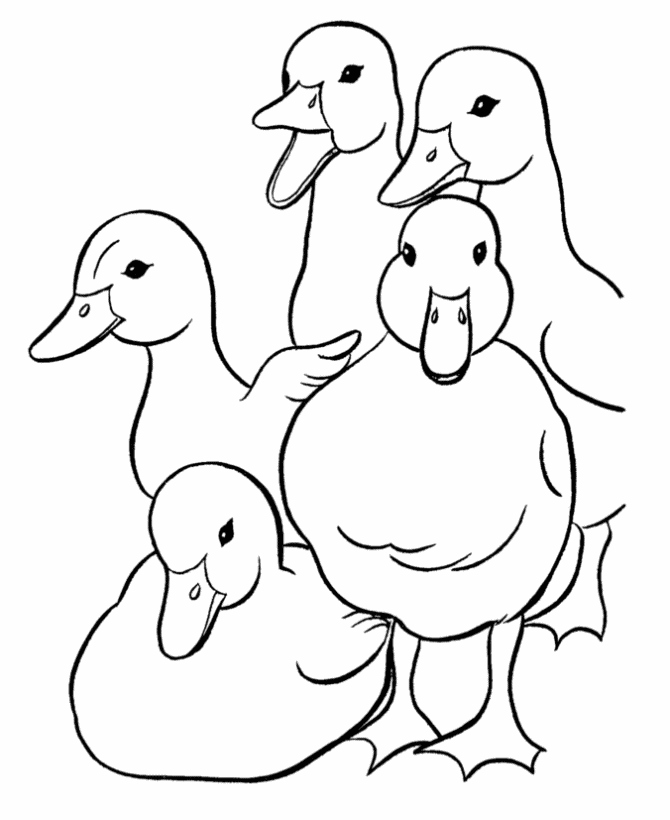 670x820 Duck Coloring Pages Awesome Duck Drawings For Kids Coloring Home