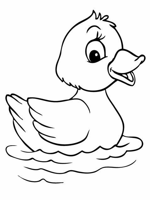 478x640 Printable Duck Coloring Pages For Kids Prepossessing Wagashiya