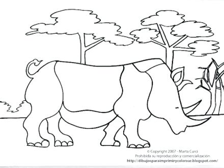 440x330 African Savanna Colouring Pages Great Animals Coloring Ideas