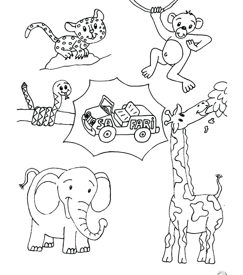 794x900 Coloring Pages Savanna Trend Free Printable Animals Animals