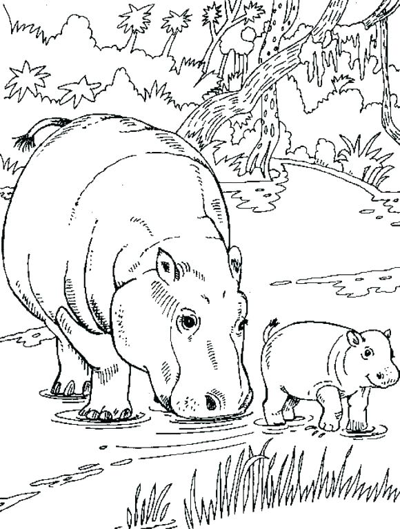 580x766 Grassland Coloring Pages Grassland Animals Coloring Pages Free