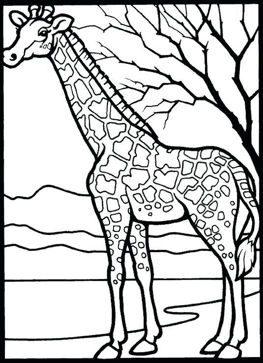 535x740 African Coloring Pages Coloring Pages Coloring Pages African