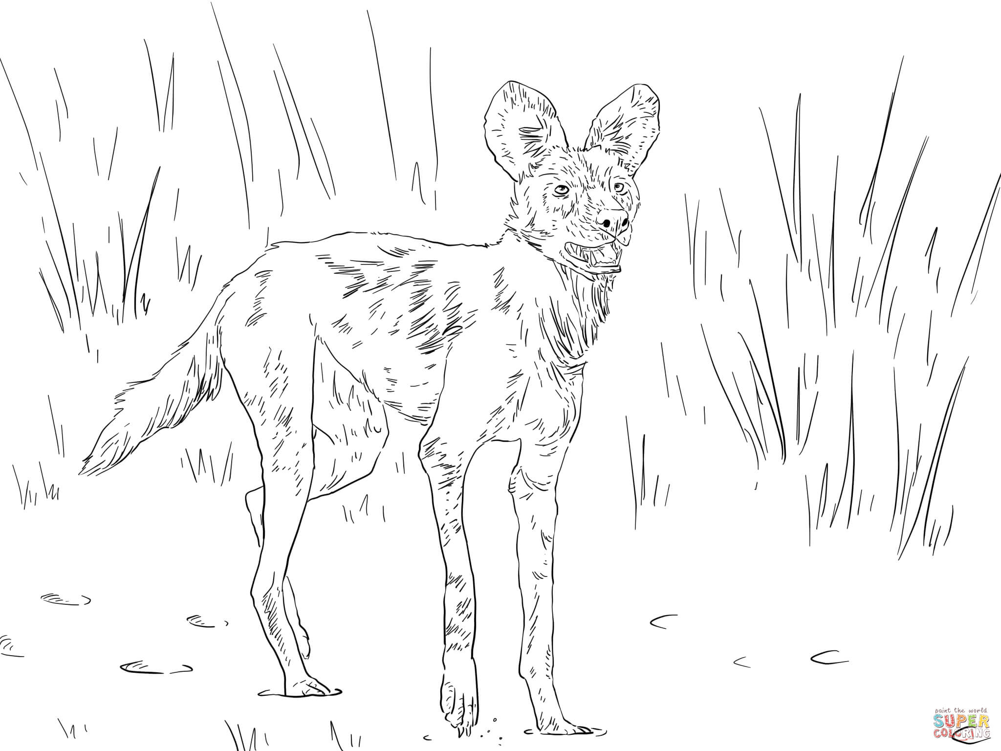 2048x1536 African Savanna Animals Coloring Pages African Animals Coloring