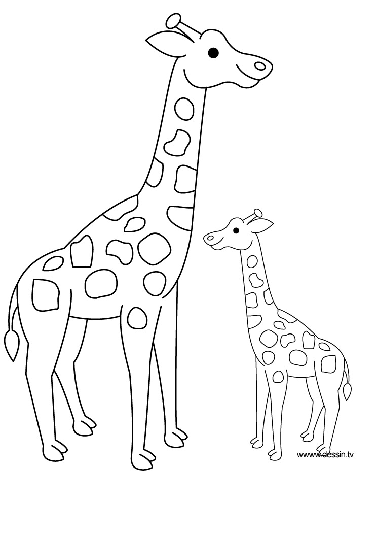 744x1052 Coloring Giraf