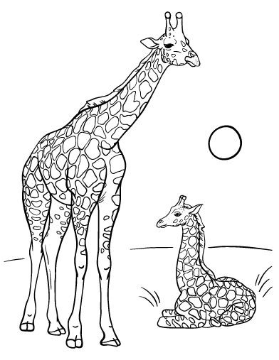 392x507 Image Of Giraffe For Coloring Incredible Images 31 Best Wild
