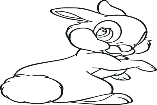 520x350 Coloring Pages Flowers Roses Beautiful Rabbit Inspirational Bambi