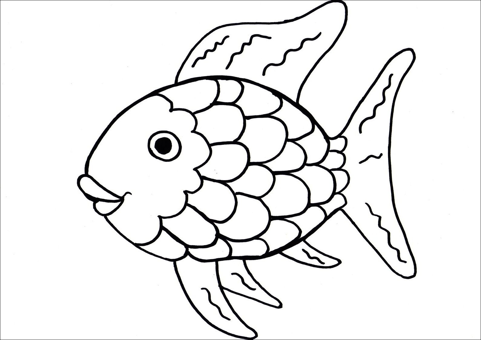1589x1123 Fish Scales Thick With Strong Fish Kids Net And Scale