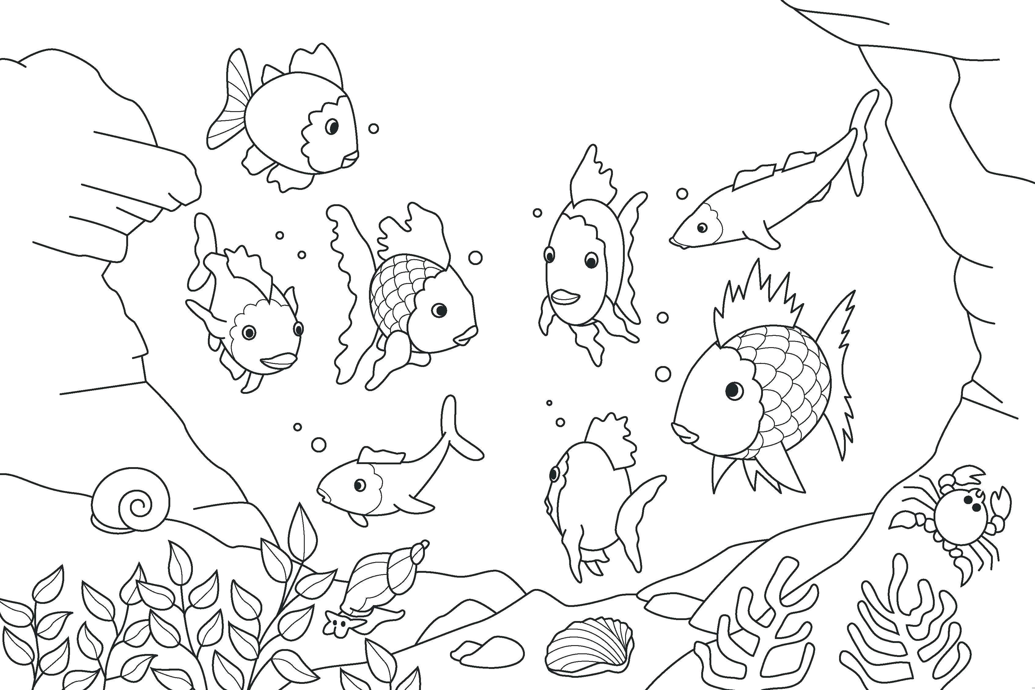 3386x2260 Noted Rainbow Fish Coloring Pages Preschoolers