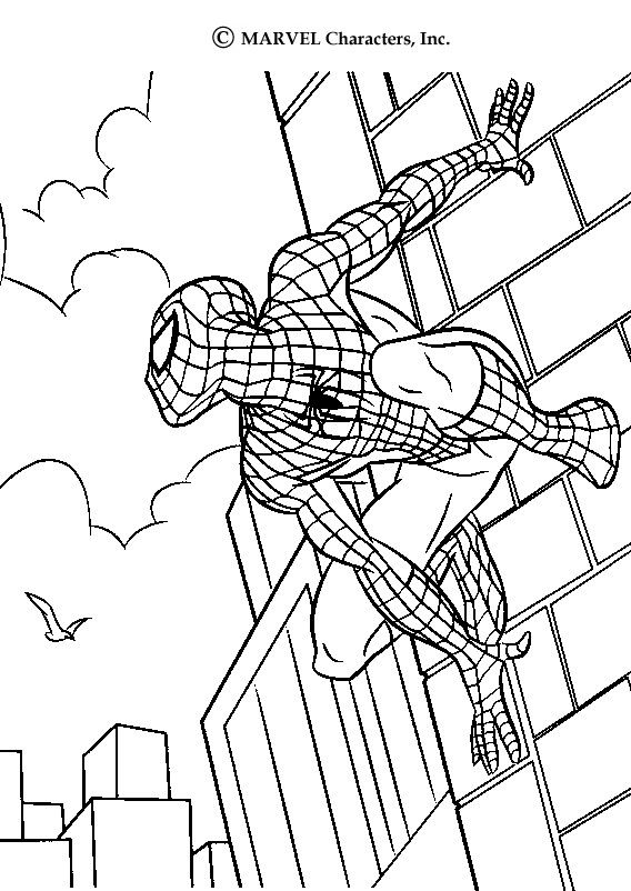 568x802 92 Best Super Heroes Coloring Pages Images