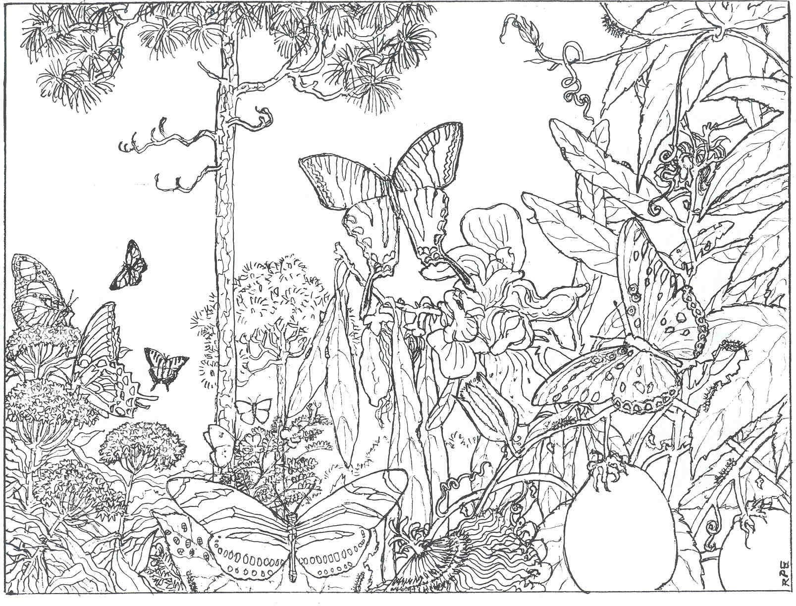 1607x1224 Best Of Scandinavian Coloring Book Pg 31 Colouring Free Coloring