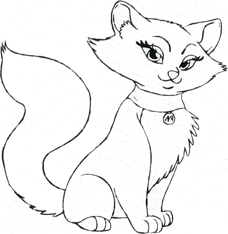 736x757 Black Cat Coloring Pages