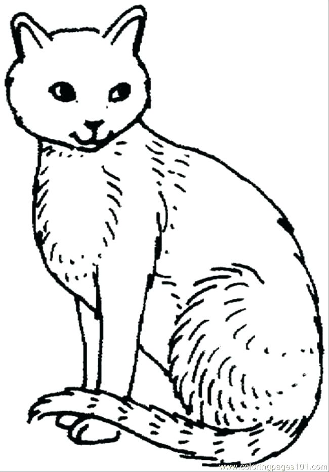 650x932 Black Cat Coloring Pages Shippa.co