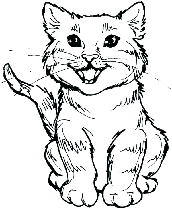 600x731 Halloween Cat Coloring Pages Cat Coloring Page Cat Coloring Pages