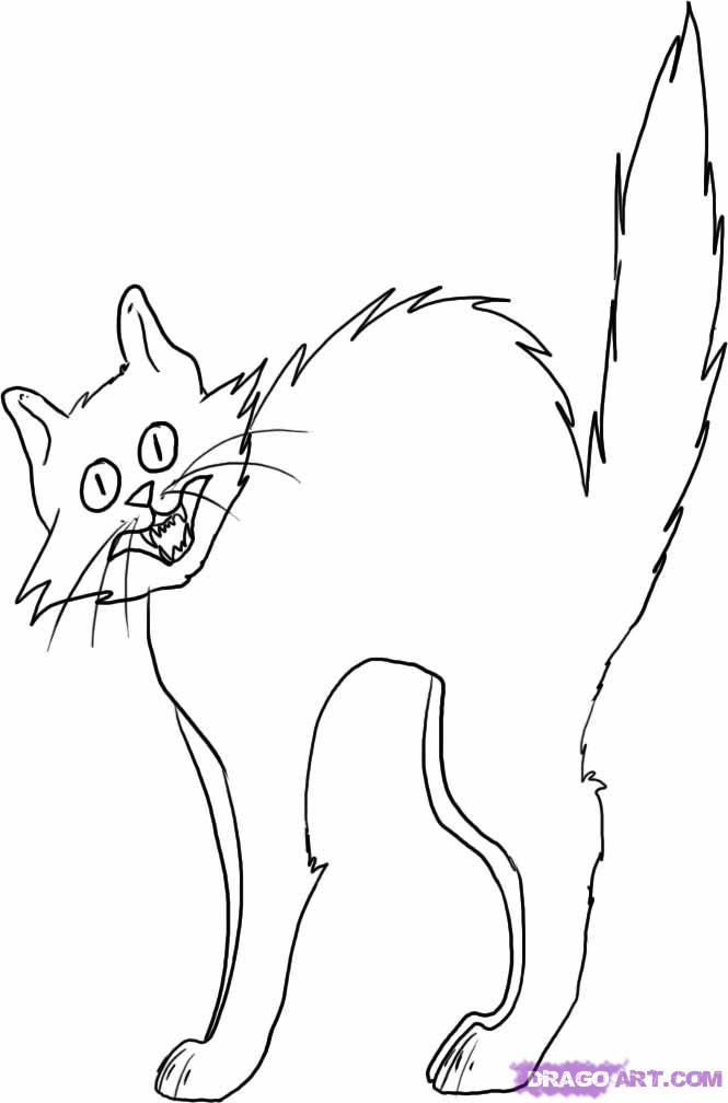 665x1008 Scared Cat Cartoon Az Coloring Pages Scared Cat Coloring Page