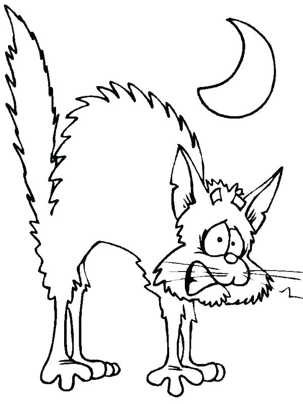 600x799 Scary Cat Coloring Pages Black Cat Coloring Pages Cats Coloring