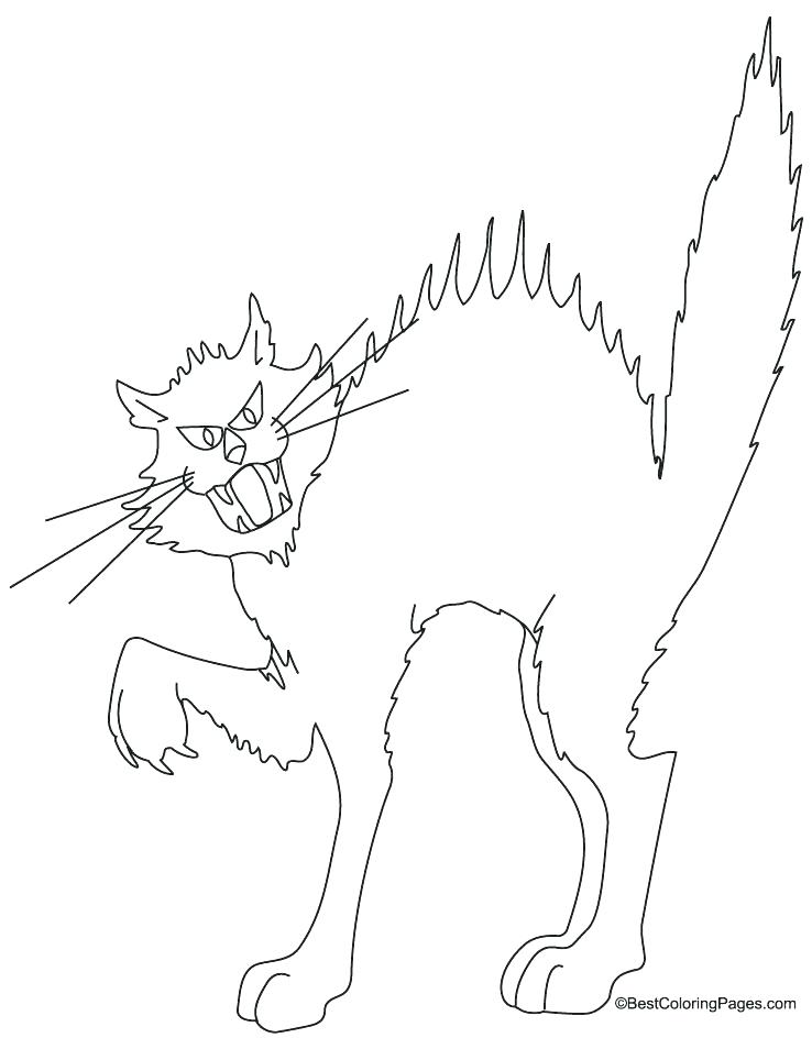 738x954 Black Cat Coloring Pages Black Cat Colouring Pages Coloring Page
