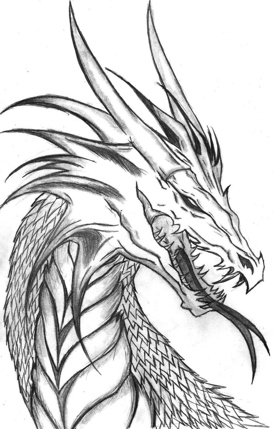 900x1412 Impressive Scary Dragon Coloring Pages New Head Side Profile By