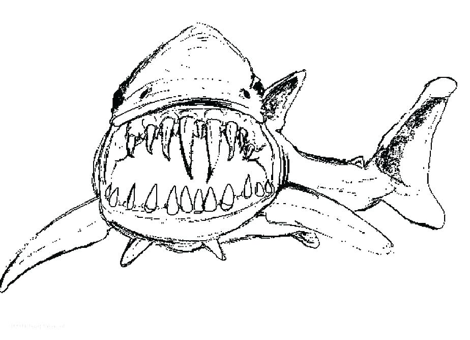 924x668 Sharks Coloring Pages 14