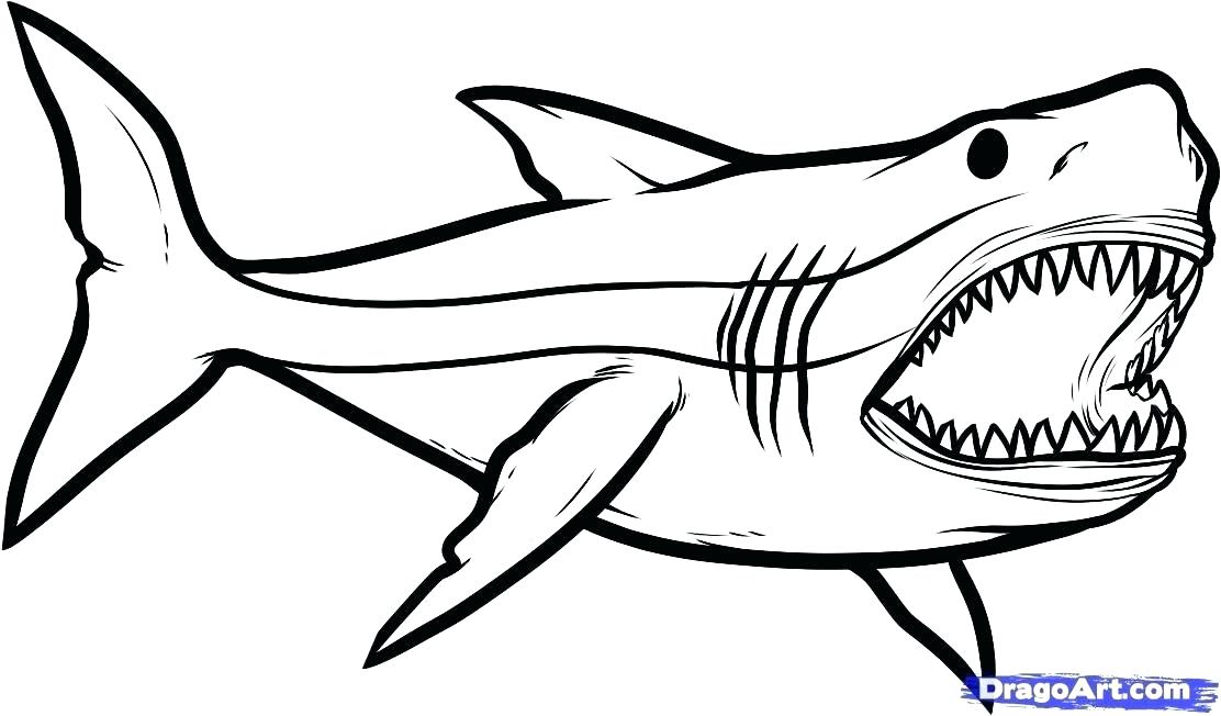 1112x652 Tiger Shark Coloring Page Shark To Color Drawn Shark Coloring Page