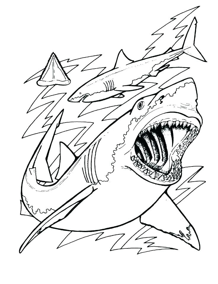 736x957 Tiger Shark Coloring Page