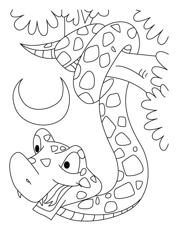 612x792 Coloring Pages Snake Coloring Trend Medium Size Pics Of Scary