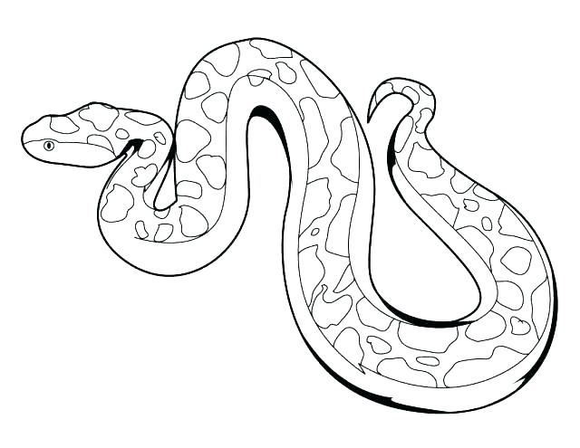640x495 Coloring Pages Snakes Snake Coloring Pages To Print Snake Color