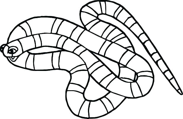 618x401 Poisonous Snakes Colors Printable Coloring Snakes Coloring Pages
