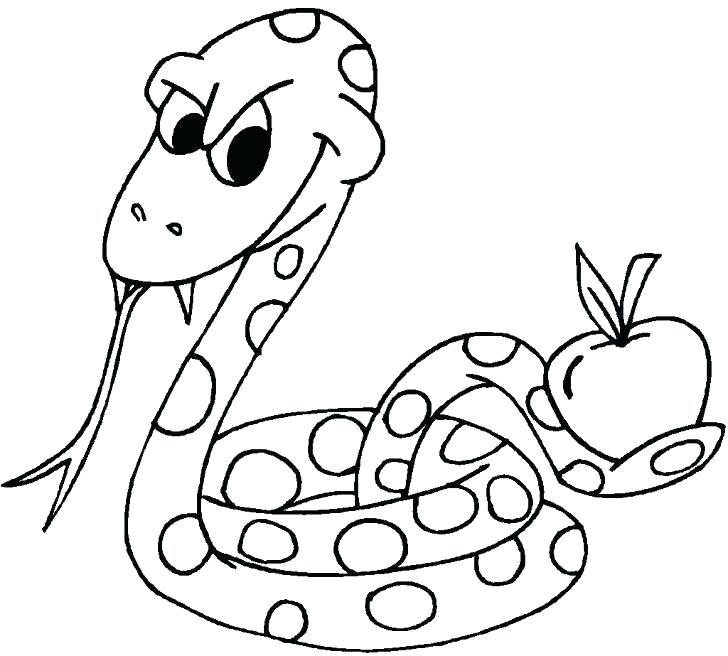 728x656 Scary Coloring Pages Coloring Pages Of Snakes Snake Coloring Page
