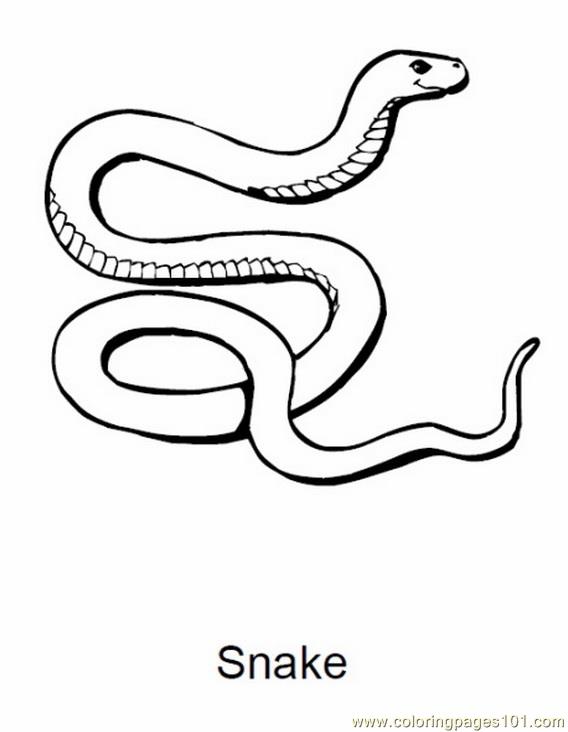 568x732 Snake 27 Coloring Page